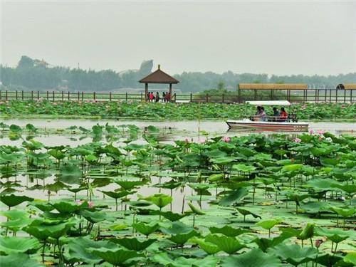 迎春丽家二手最新房价，市场趋势与购房指南