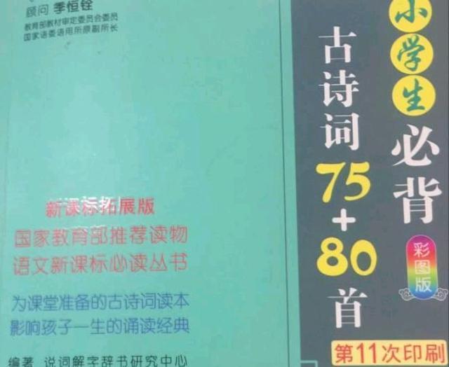 中小学生幼师资格考试网，为教育事业筑基的坚实平台