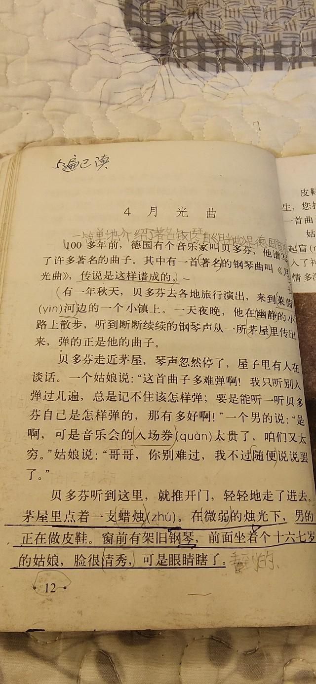 浙江专升本语文考纲详解与备考策略